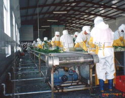 挑選機網帶 廣通網鏈與信息咨詢服務解析